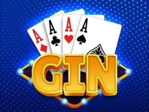 Gin Rummy Card Game