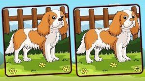 Dogs Spot The Differences Puzzle Game