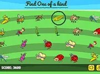The Unique Insect Puzzle Game Online Puzzle Game
