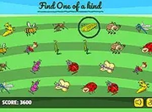 The Unique Insect Puzzle Game